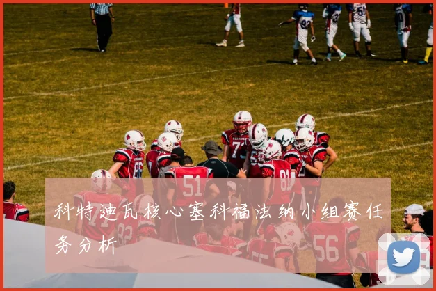 科特迪瓦核心塞科福法纳小组赛任务分析