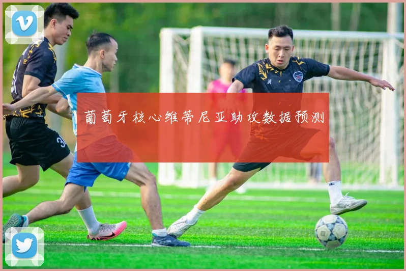 葡萄牙核心维蒂尼亚助攻数据预测
