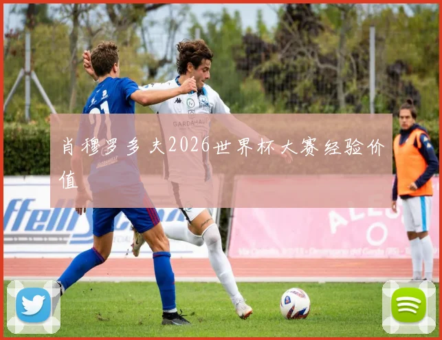 肖穆罗多夫2026世界杯大赛经验价值