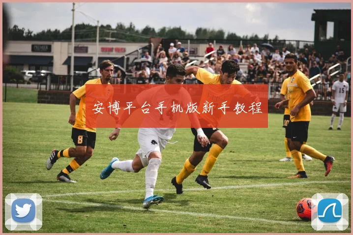 安博平台手机版新手教程
