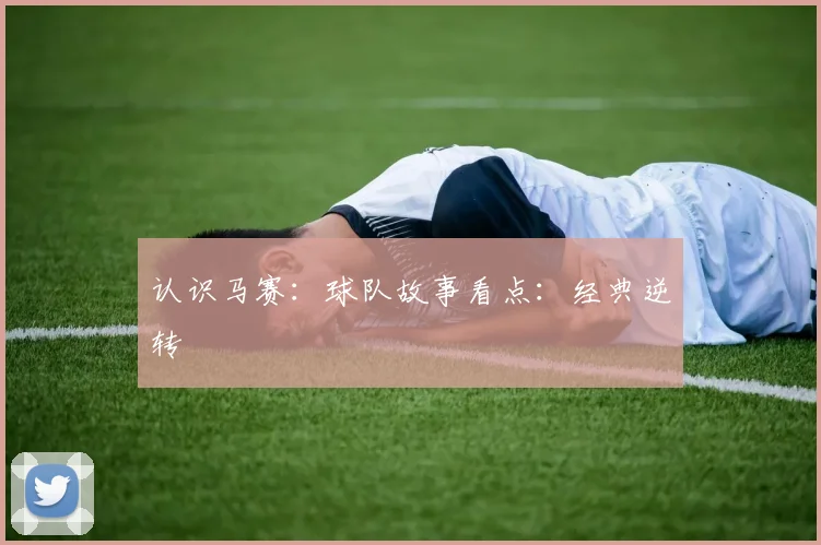 认识马赛：球队故事看点：经典逆转